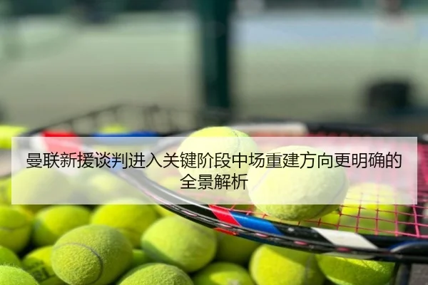 曼联新援谈判进入关键阶段中场重建方向更明确的全景解析