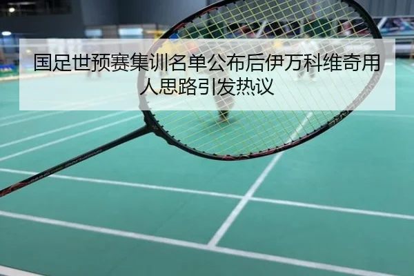 国足世预赛集训名单公布后伊万科维奇用人思路引发热议